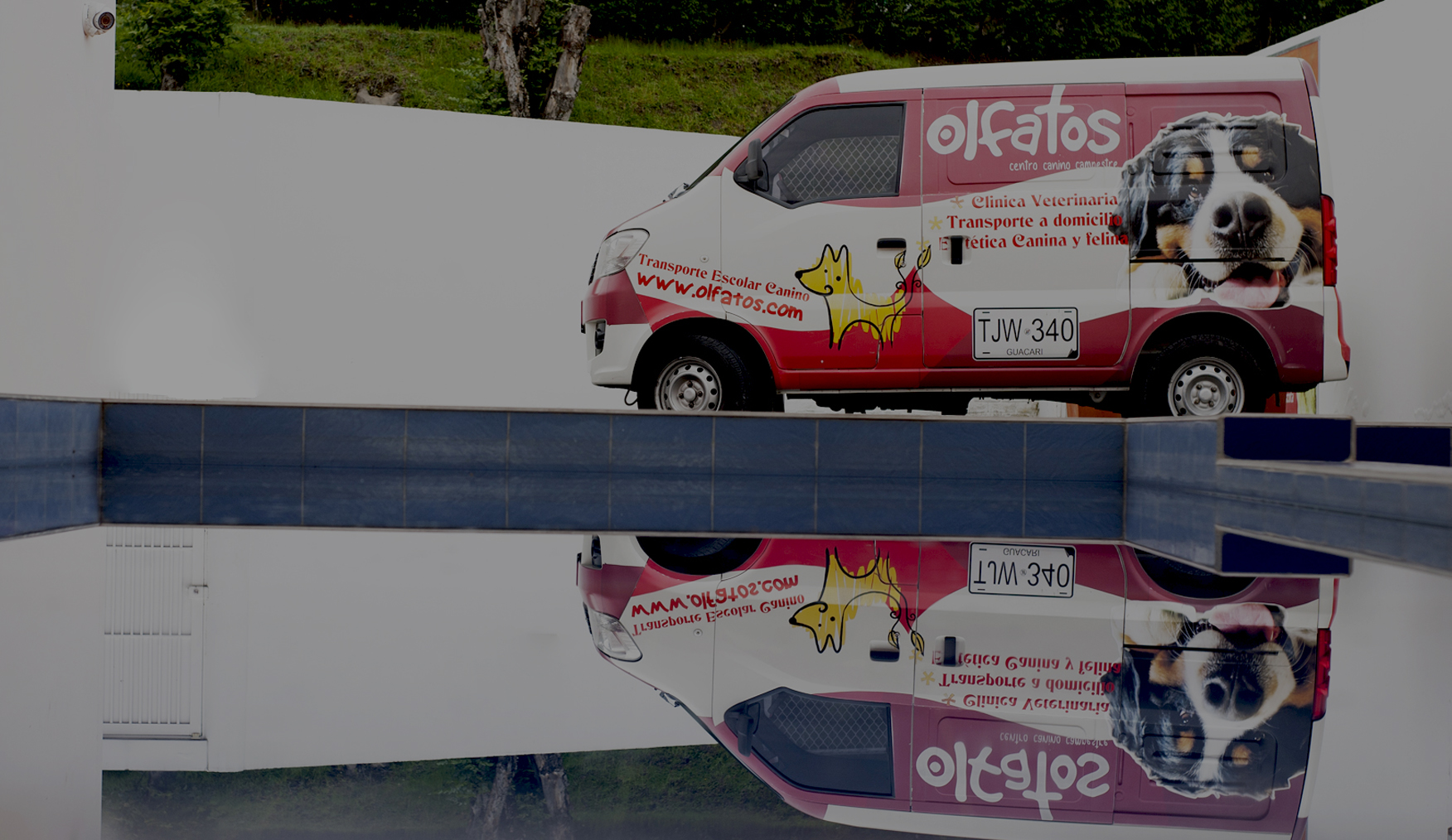 Clínica Veterinaria